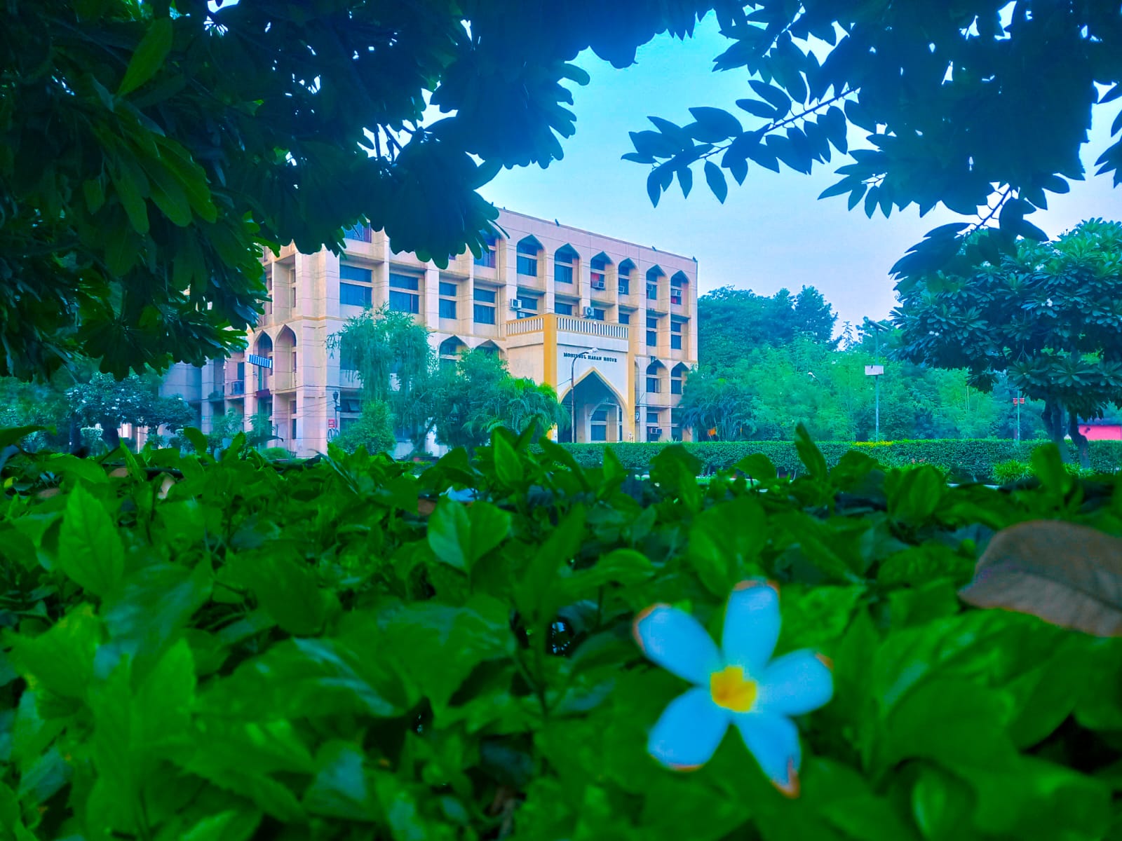 Jamia Campus